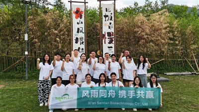 Catatan perjalanan pembangunan tim yang unik ke halaman gunung